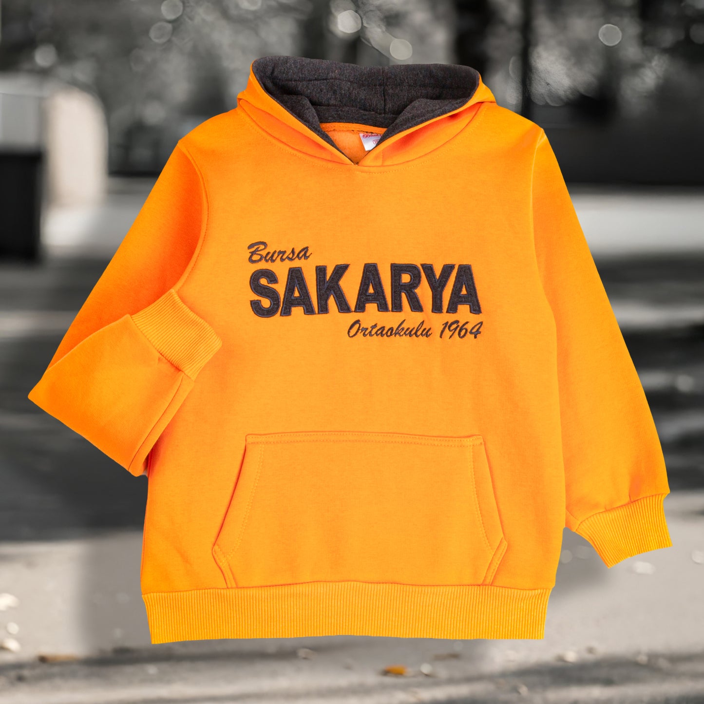 Kapüşonlu Sweatshirt